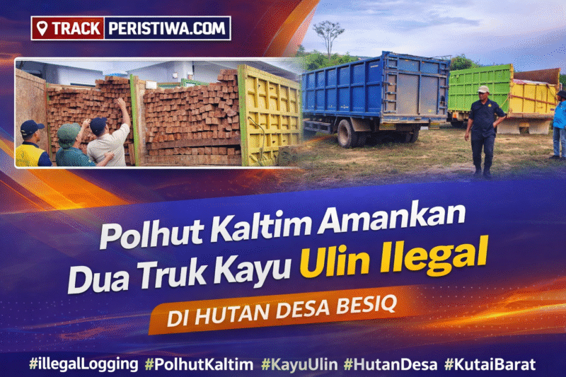Foto: Barang bukti berupa truk dan muatan kayu ulin diamankan di Mapolres Kutai Barat. (Dok. Trackperistiwa.com/Fauzan)