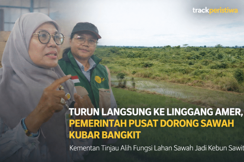 Caption: Hamparan sawah di Kampung Linggang Amer, Kecamatan Linggang Bigung, yang menjadi fokus optimalisasi peningkatan produksi beras Kubar. (Fzn/TP)