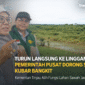 Caption: Hamparan sawah di Kampung Linggang Amer, Kecamatan Linggang Bigung, yang menjadi fokus optimalisasi peningkatan produksi beras Kubar. (Fzn/TP)