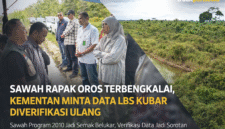 Sebagian area sawah program cetak 2010 di Rapak Oros kini tidak produktif dan tengah diminta untuk dilakukan pendataan ulang oleh Kementerian Pertanian. (Fzn/TP)
