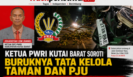 Keterangan Foto: Ketua DPC PWRI Kabupaten Kutai Barat, Johansyah (Om Joang), menyoroti buruknya tata kelola taman kota dan lampu penerangan jalan umum (PJU) usai mengalami kecelakaan akibat dahan pohon tumbang di Jalan Sendawar Raya, Melak. Foto: Trackperistiwa.com