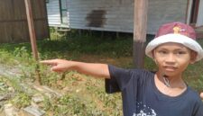 Keterangan Foto : Eno, bocah yang sejak kecil sering ikut mendiang ayahnya menanam karet dan sayuran, tampak sedih menyaksikan kebun peninggalan ayahnya digusur habis oleh PT NPR. (Dok. Trackperistiwa.com/Henryanus Achiang).
