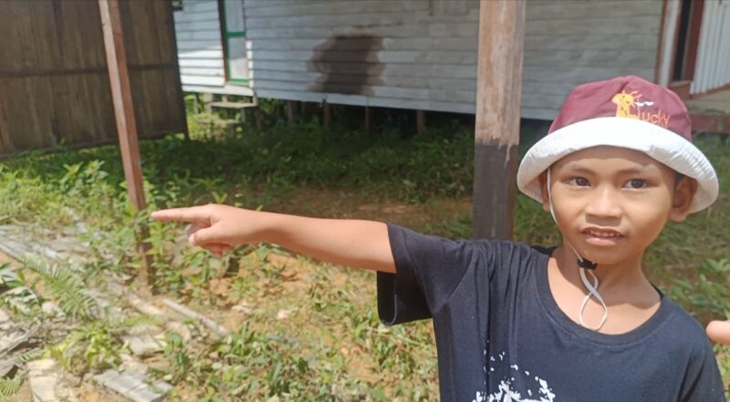 Keterangan Foto : Eno, bocah yang sejak kecil sering ikut mendiang ayahnya menanam karet dan sayuran, tampak sedih menyaksikan kebun peninggalan ayahnya digusur habis oleh PT NPR. (Dok. Trackperistiwa.com/Henryanus Achiang).