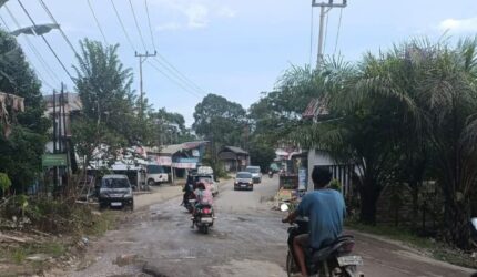 Foto kondisi jalan rusak yang beredar diketahui diambil oleh Anita Sari dan menjadi bukti visual atas kondisi jalan yang memprihatinkan di kawasan tersebut