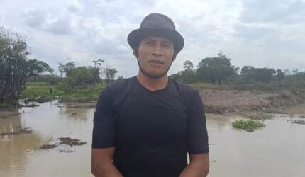 Keterangan Foto: Warga Kampung Dasaq, Kecamatan Muara Pahu, Kabupaten Kutai Barat, menangkap ikan secara tradisional di kawasan rawa menggunakan tangan dan alat sederhana sebagai mata pencaharian yang telah diwariskan secara turun-temurun. Foto: Trackperistiwa.com/Melky Malis